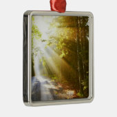 アカディア国立公園の森林を通した日曜日のビーム メタルオーナメント (右)