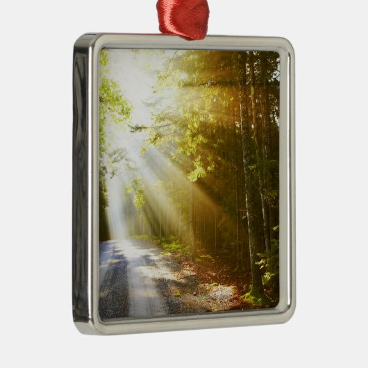 アカディア国立公園の森林を通した日曜日のビーム メタルオーナメント (右)