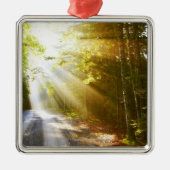 アカディア国立公園の森林を通した日曜日のビーム メタルオーナメント (正面)