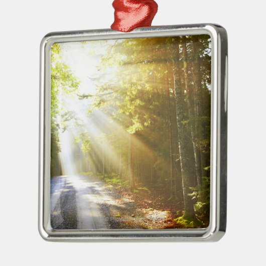 アカディア国立公園の森林を通した日曜日のビーム メタルオーナメント (左)