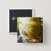 アカディア国立公園の森林を通した日曜日のビーム 缶バッジ (正面&裏面)