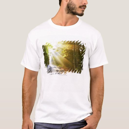 アカディア国立公園の森林を通した日曜日のビーム Tシャツ (正面)