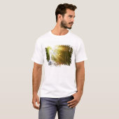 アカディア国立公園の森林を通した日曜日のビーム Tシャツ (正面フル)