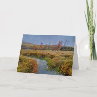 アカディア国立公園の秋の色 カード