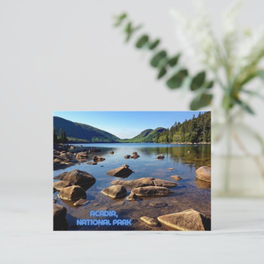 アカディア国立公園はがき旅行お土産 ポストカード (スタンド正面)