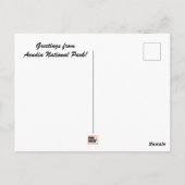 アカディア国立公園はがき ポストカード (裏面)