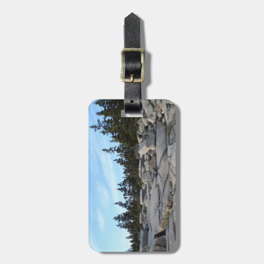 アカディア国立公園メイン ラゲッジタグ (正面縦)