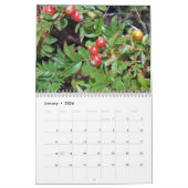 アカディア国立公園2009のカレンダー カレンダー (1月 2026)