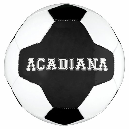 アカディア サッカーボール (正面)