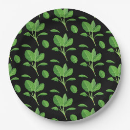 アカディア ペーパープレート