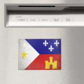 アカディア マグネット (インサイチュ (食洗機))