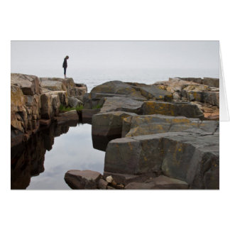 アカディアNP: Schoodic半島の先端