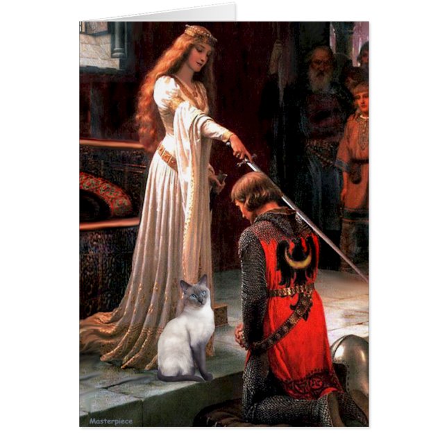 アカデブルーポイントシャメネコ (正面)