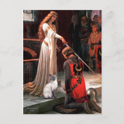 アカデブルーポイントシャメネコ ポストカード (正面)