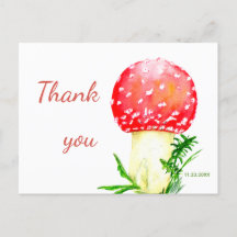 アカハシキタケ。感謝