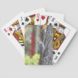 アカハシバドリ トランプ