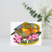 アカハナシキドリ類 – アロハ ポストカード (スタンド正面)