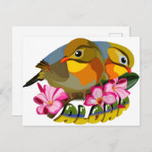 アカハナシキドリ類 – アロハ ポストカード (正面/裏面)