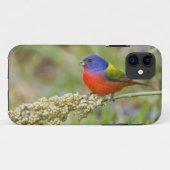 アカハラアメリカホオジロ (Passerian ciris) 雄 採餌 Case-Mate iPhoneケース (裏面(横))