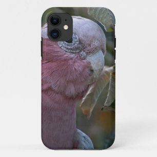 アカハラオウム iPhone 11 ケース