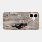 アカハラクロタゲリ iPhone 16ケース (裏面横)