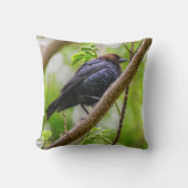 アカバドリ クッション (正面)