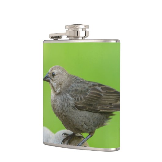 アカバドリ フラスク (左)