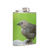 アカバドリ フラスク (右)