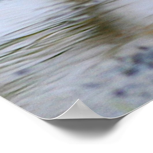 アカバドリ ポスター (角)