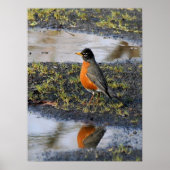 アカバドリ ポスター (正面)