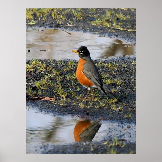 アカバドリ ポスター (正面)