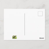 アカバドリ ポストカード (裏面)