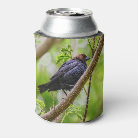 アカバドリ 缶クーラー (缶裏面)