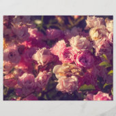 アカバラの低木 (裏面)