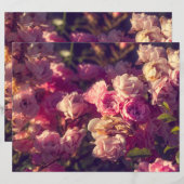 アカバラの低木 (正面/裏面)