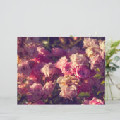 アカバラの低木 (スタンド正面)