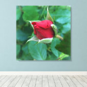 アカバラ キャンバスプリント (インサイチュ (ウッドフロア))