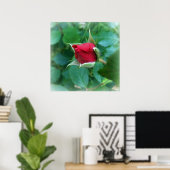 アカバラ ポスター (ホームオフィス)