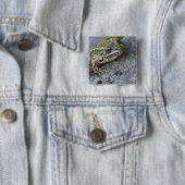 アカヒゲアマガエル、シースルーアイランド、 缶バッジ (インサイチュ)