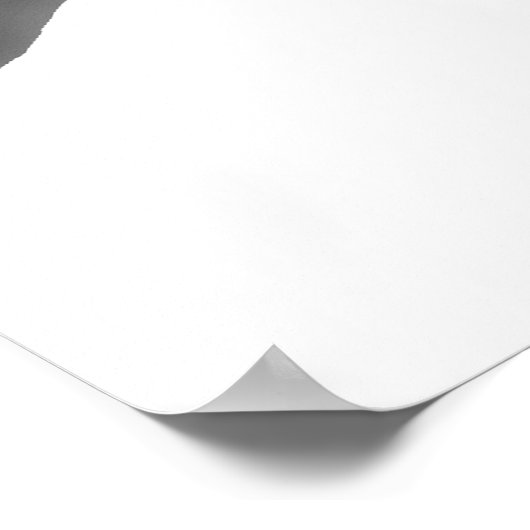 アカヒメダイ ポスター (角)