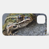 アカヒレアマガエル、シースルーアイランド、 Case-Mate iPhoneケース (裏面 (横))