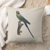 アカビタキ クッション (ブランケット)