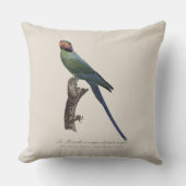 アカビタキ クッション (正面)