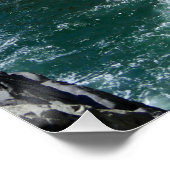 アカプルコクリフダイバー ポスター (コーナー)