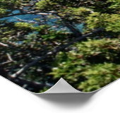 アカマス半島 ポスター (角)