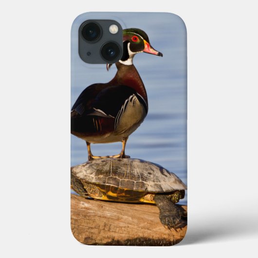 アカミミガメの上に立つカルガモのオス Case-Mate iPhoneケース (裏面)