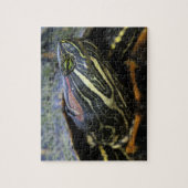 アカミミガメ, Trachemys scripta elegans, 2 ジグソーパズル (縦)