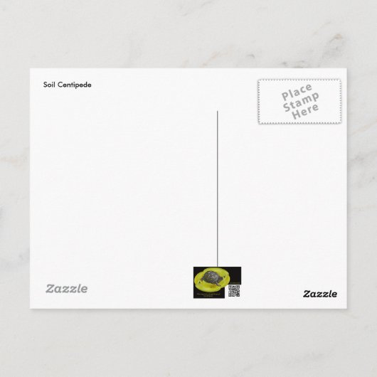 アカムカデ ポストカード (裏面)