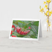 アカメの花の房/星花 カード (黄色い花)