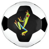 アカメアオモリアホウドリ サッカーボール (回転)